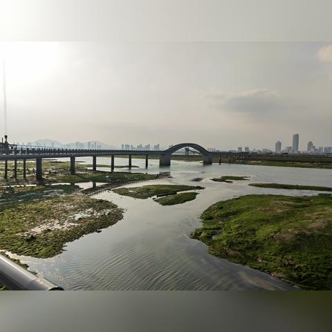 科学美国人：海洋固碳蓝氢项目背后的生态风险预警