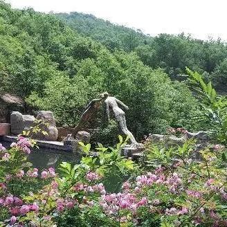 最新滕州人参礼盒价格表及详细解析