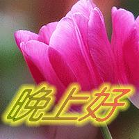 安逸问候图片精选，最新大图集锦与美好祝福