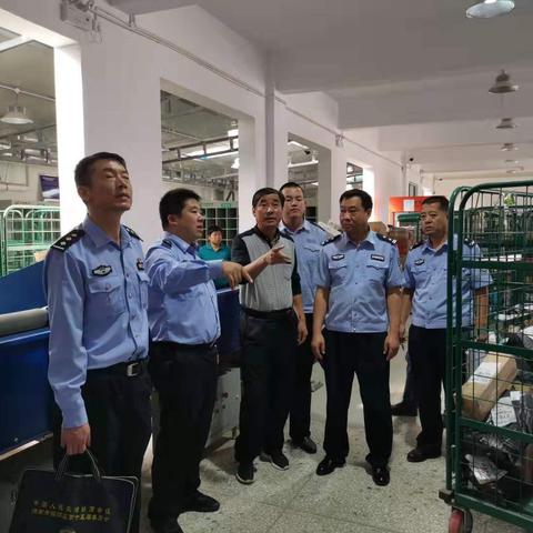 蒲城东陈街道大棚拆迁最新消息，全面解读与深度分析
