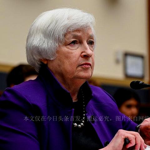 官方支持：2025正版资料免费公开解析——汇率操纵 vs 货币协议