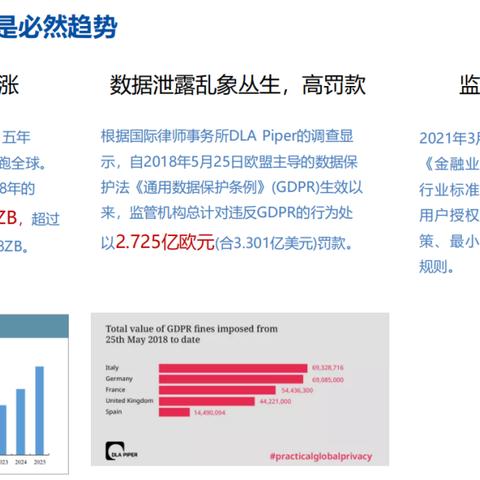 官方观点：2025精准资料免费大全解析——数据资产入表试点 vs 隐私保护强监管