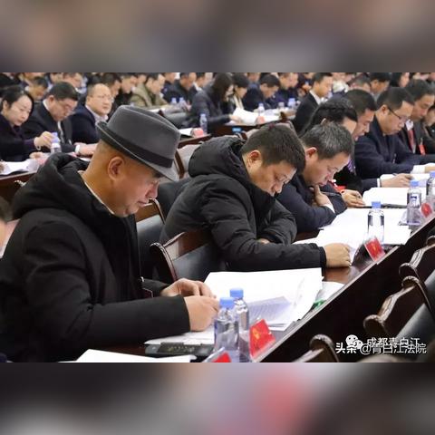 机关正职待遇标准最新解读与全面指南