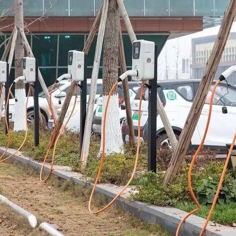 宜宾直播租房网最新消息，探索宜宾房产租赁市场的新动态