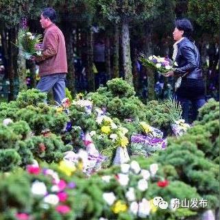 岱山公墓拆迁最新公告详解，全面更新拆迁细节与安置方案